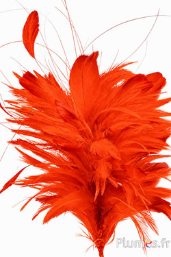 Plume Haan - hoogte 30 cm - oranje-rood